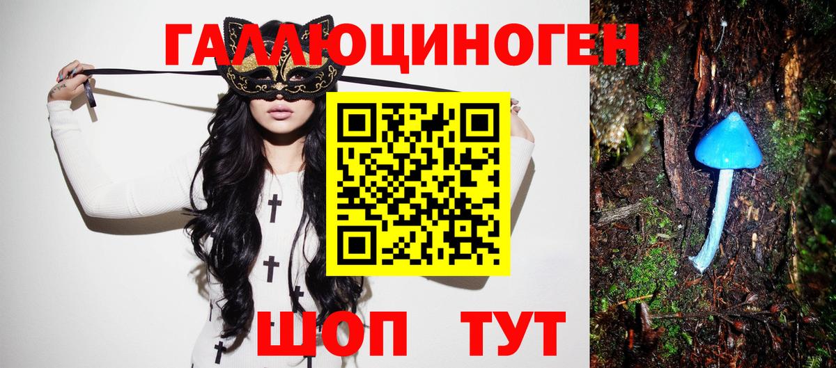 Псилоцибиновые грибы мицелий Кыштым